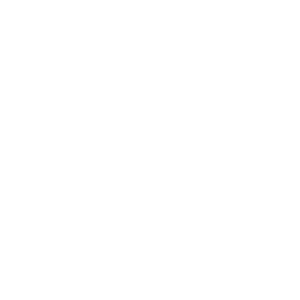 CSS logo